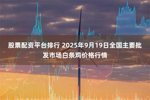 股票配资平台排行 2025年9月19日全国主要批发市场白条鸡价格行情
